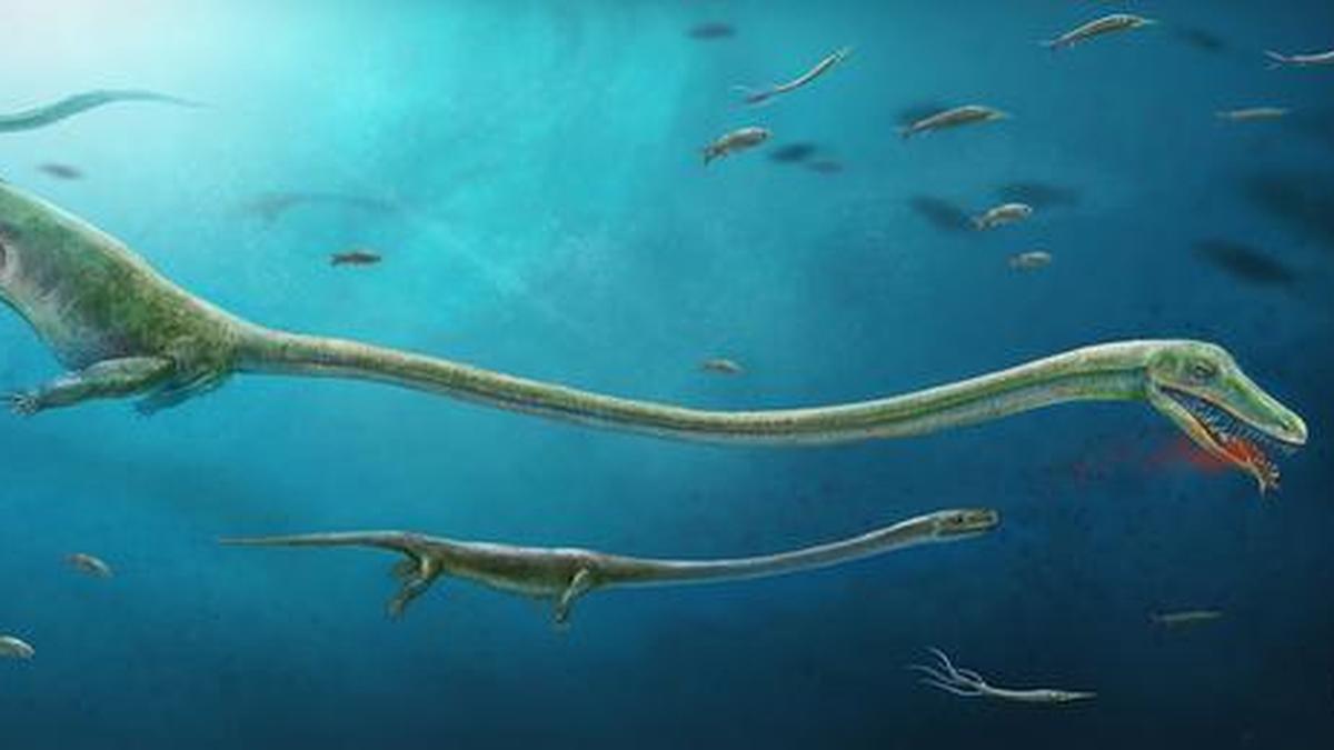 An ancient reptile that gave live birth The Hindu